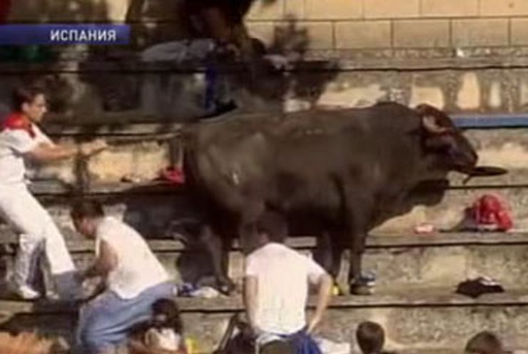 В Испании 40 человек получили травмы во время спектакля