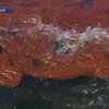 Ученые обнаружили в Мексиканском заливе новое нефтяное пятно