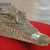 Как в Бердянске на зверях зарабатывают