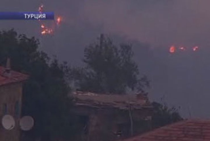 В турецкой провинции Измир бушуют лесные пожары