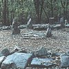 На Хортице вандалы сожгли языческих богов