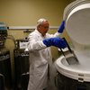 В США разработали имплантируемую искусственную почку