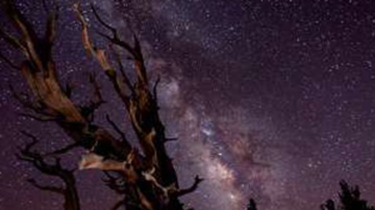 Лучшим астрономическим фото названо изображение Млечного пути