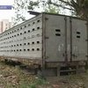 Нашли повешенным главного инспектора львовской таможни