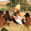 ООН: В странах Африки улучшилась статистика заражения ВИЧ