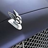 Компания Bentley отзывает автомобили из-за ржавых эмблем