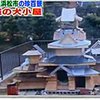 Житель Японии построил для своей собаки замок
