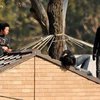 В Австралии китайцы залезли на крышу миграционного центра