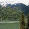 Грузия обвиняет Россию в уничтожении природы Абхазии