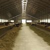 На кормах для животных появится маркировка о наличии ГМО