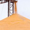 Украина может продлить квоты на экспорт зерна