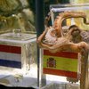 В Германии умер знаменитый осьминог-провидец