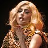 В американском университете будут изучать феномен Lady GaGa