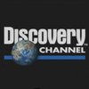 "Воля" может прекратить трансляцию канала Discovery