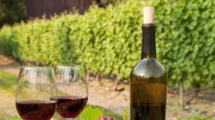 Красное вино предотвратит последствия инсульта