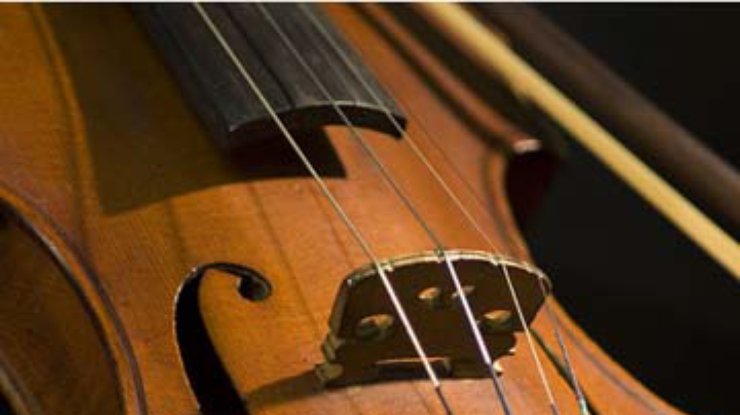 Немецкий музыкант забыл в поезде скрипку XVIII века