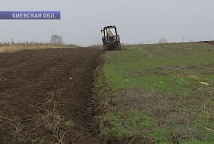 Показательный пример: Как в Украине работают иностранные фермеры