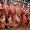 Ученые подтвердили безопасность мяса клонированного скота