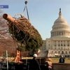 В Вашингтоне установили новогоднюю елку
