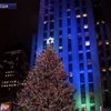 В Нью-Йорке открылась главная елка в США