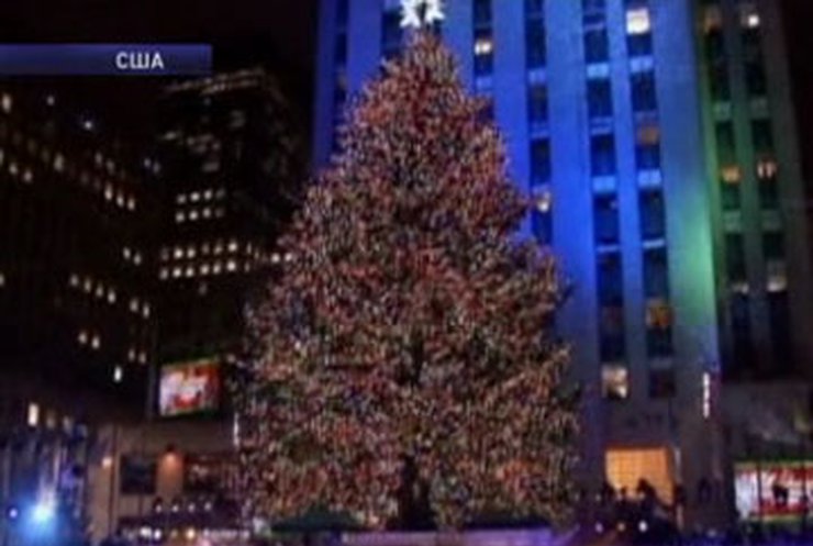 В Нью-Йорке установили главную елку в США