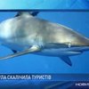 В Египте акула напала на украинца