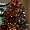 В США в Белом доме установили новогоднюю елку