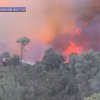 В Израиле лесные пожары убили 50 человек