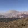 В Израиле горят леса