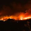 Лесные пожары в Израиле достигли огромных масштабов