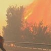 В Израиле борются с самым большим пожаром в истории страны