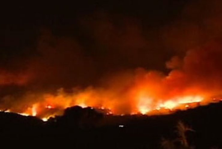 Лесные пожары в Израиле достигли огромных масштабов