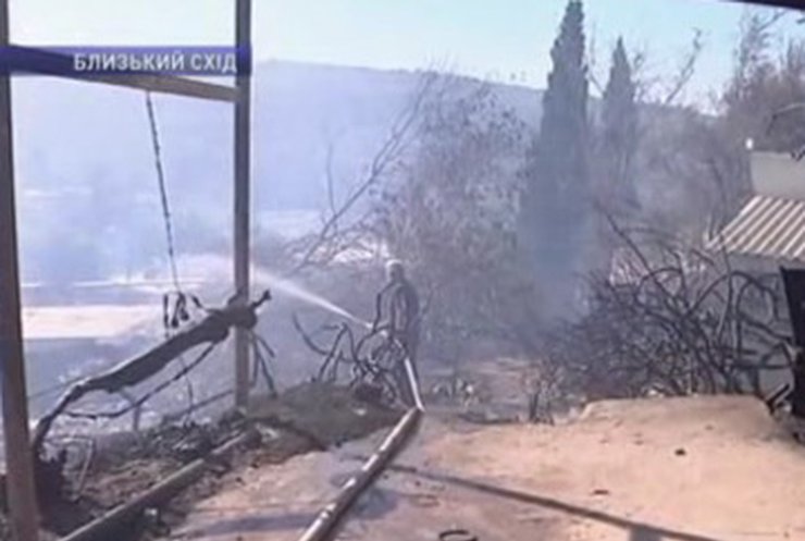 Лесной пожар в Израиле взят под контроль