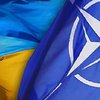 НАТО понравилось иметь дело с Украиной в этом году