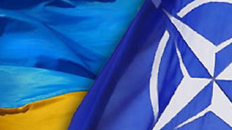 НАТО понравилось иметь дело с Украиной в этом году