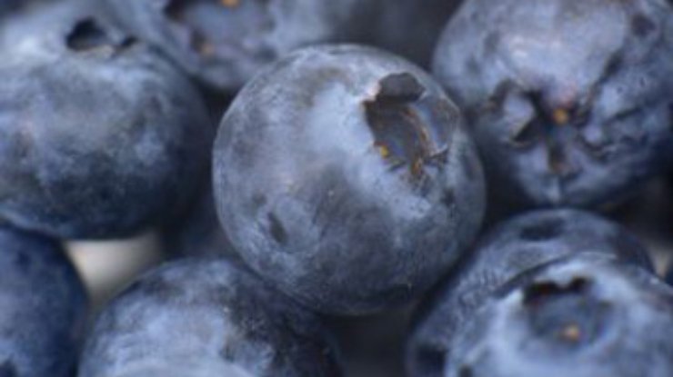Продукты фиолетового цвета спасают организм от вредного железа