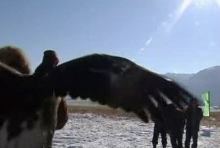 В Казахстане открыли зимний сезон орлиной охоты