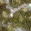 Житель Германии превратил куст марихуаны в новогоднюю елку