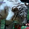 Жители Буэнос-Айресского зоопарка получили рождественские подарки