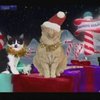 Видео ансамбля поющих котов вышло в 3D формате