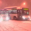 Турцию засыпало снегом