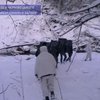 Контрабандисты переносили через границу сигареты на себе