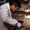 В Китае нашли древние остатки супа