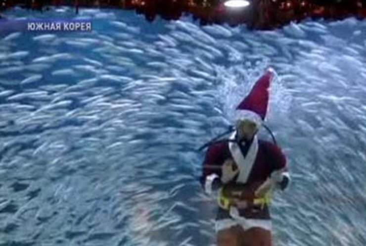 В океанариуме Сеула устроили шоу дрессированных рыб