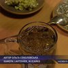 Днепропетровск отмечает международный день чая по-особенному
