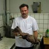 Днепропетровские зоологи открыли тайну чупакабры