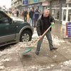 В Ужгороде горожане сами убирают город