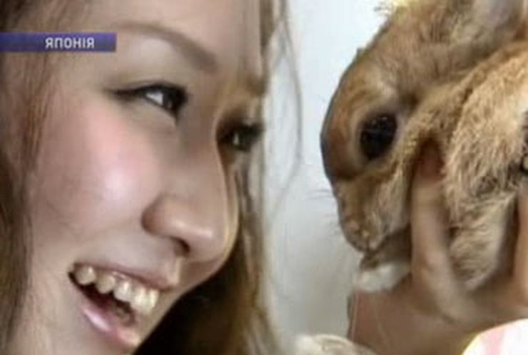 В японском магазине устроили фотосессию для кроликов