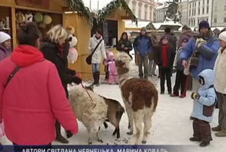 В Чехии провели рождественские ярмарки