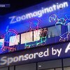Вашингтонский зоопарк устроил день открытых дверей
